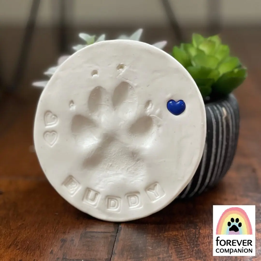 On-site clay paw print made by Forever Companion professionals