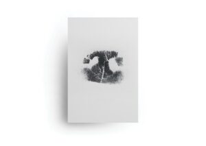 Ink nose print $26