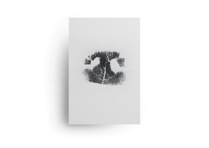 Ink nose print $26